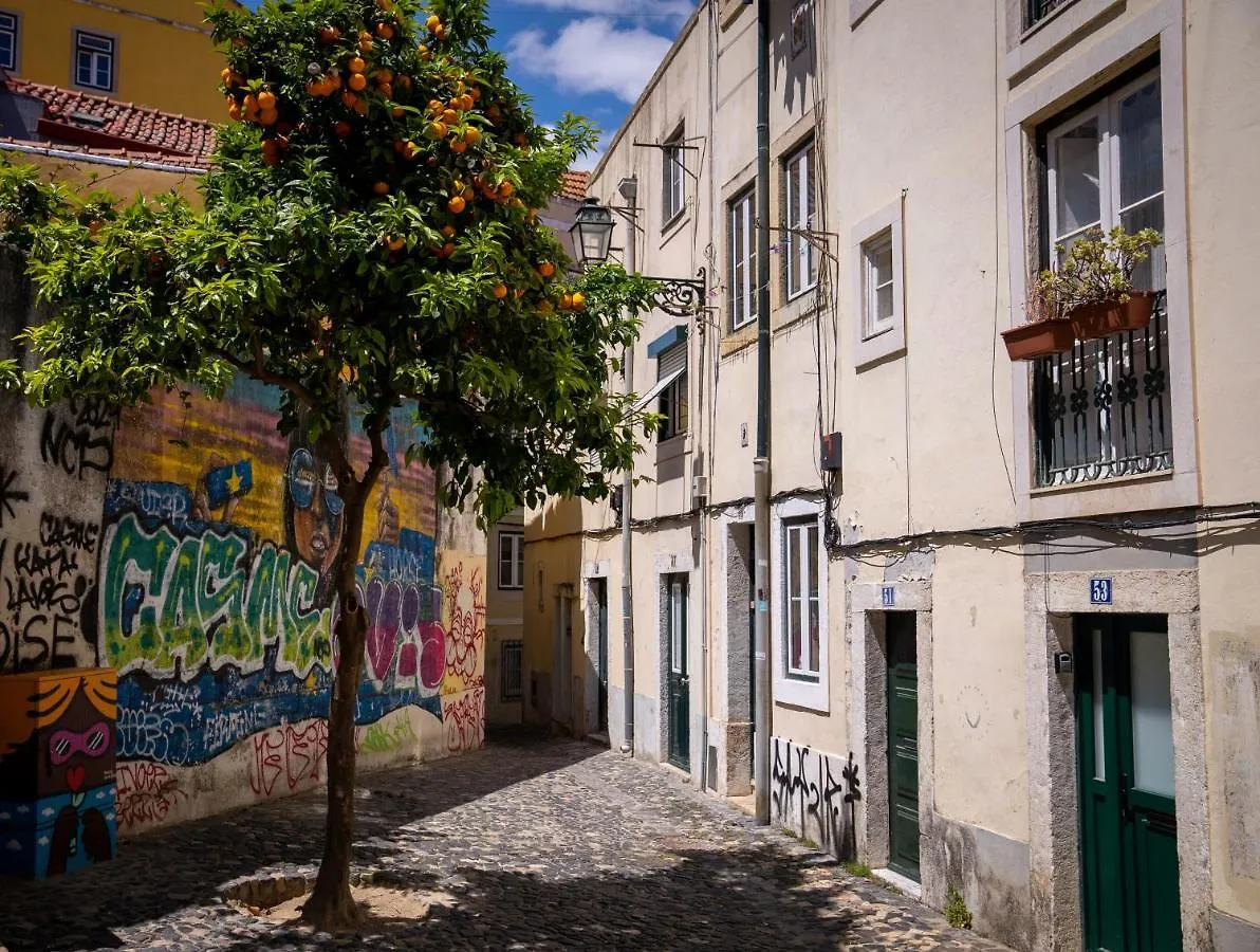 Great Apt In Historical City Center Lisboa 0*,